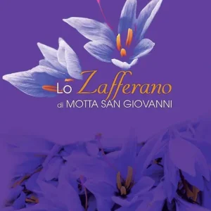 Lo zafferano di Motta San Giovanni Professionale