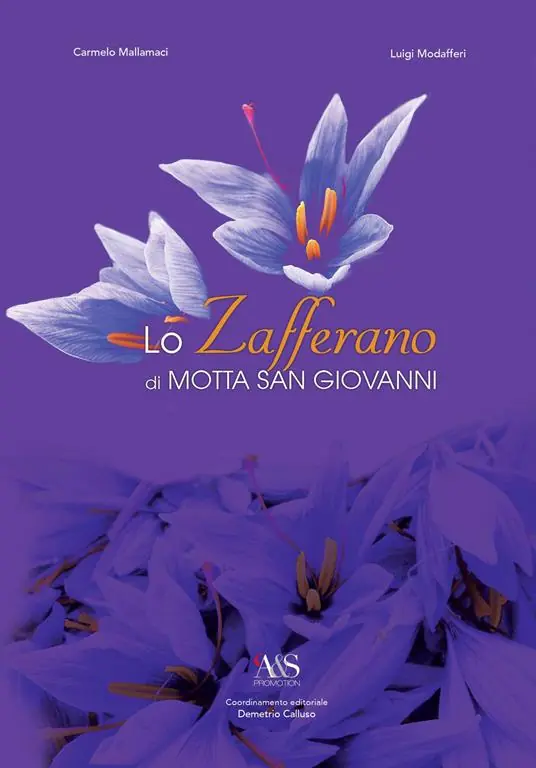 Lo zafferano di Motta San Giovanni Professionale