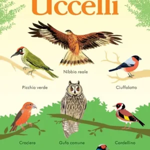 Nuovo Arrivo 199 uccelli. Ediz. a colori