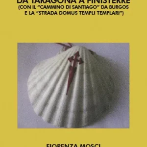 Nuova Collezione Da Taragona a Finisterre (con il «Cammino di Santiago» da Burgos e la «Strada Domus Templi Templari»). Itinerari medievali Spagna. Vol. 1