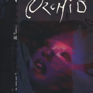 Black orchid Novità