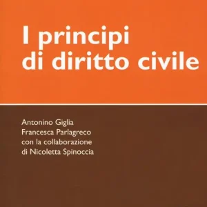 Esclusivo I principi di diritto civile