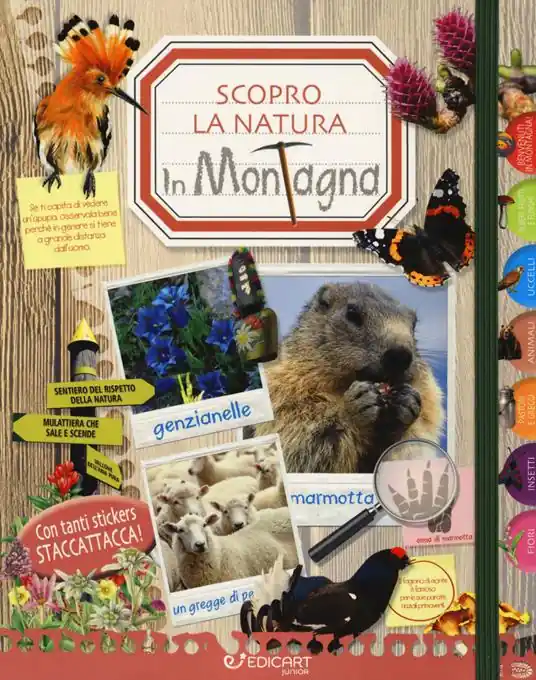 In montagna. Scopro la natura. Con adesivi Esclusivo