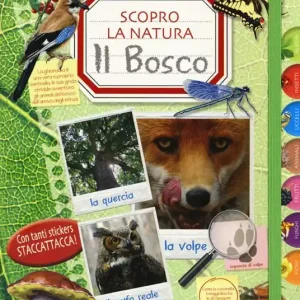 Il bosco. Scopro la natura. Con adesivi Occasione Imperdibile