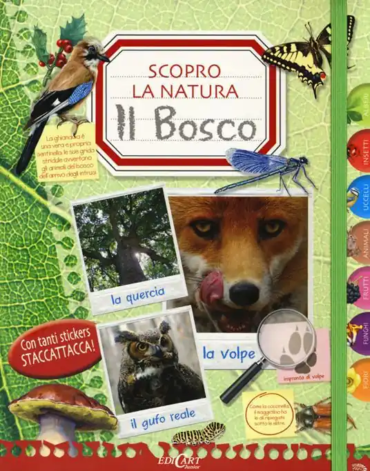 Il bosco. Scopro la natura. Con adesivi Occasione Imperdibile