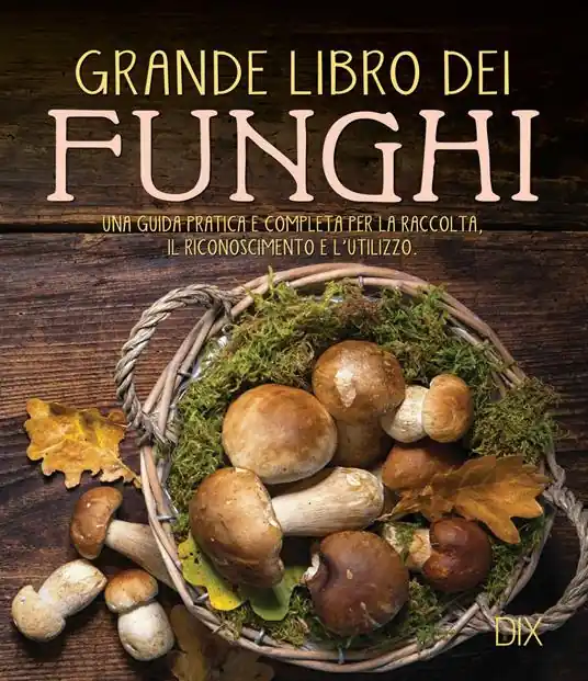 Ordina Subito Grande libro dei funghi. Una guida pratica e completa per la raccolta, il riconoscimento e l‘utilizzo