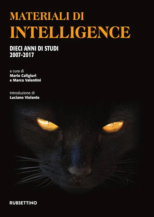 Materiali di intelligence. Dieci anni di studi 2007-2017 Più Venduto