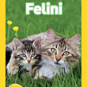 Prezzo Scontato Felini. Livello 1. Ediz. a colori