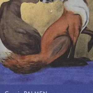 Tu l‘hai detto Economico