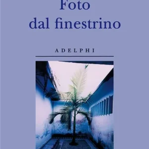 Foto dal finestrino. Ediz. illustrata Professionale