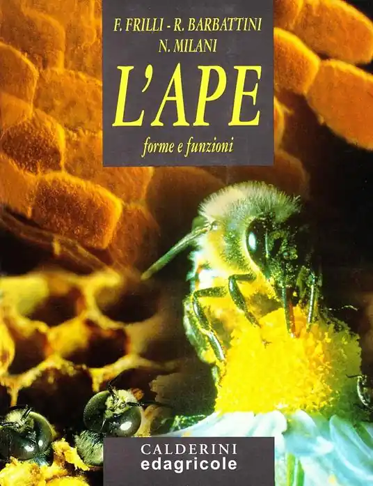 L‘ape. Forme e funzioni Ultima Occasione