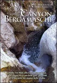 Alla scoperta dei canyon bergamaschi. Dalla Via Mala alla Forra Leonardesca, un viaggio tra le più belle gole, gli orridi e le marmitte dei giganti delle Orobie Offerta Lampo