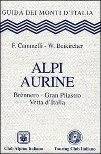 Compra Oggi Stesso Alpi Aurine. Brennero, Gran Pilastro, Vetta d‘Italia