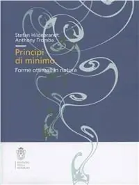 Principi di minimo. Forme ottimali in natura Prezzo Basso