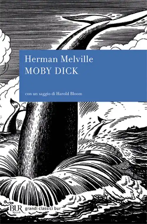 Nuovo Arrivo Moby Dick