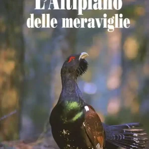L‘altipiano delle meraviglie. Ediz. illustrata Compra Online