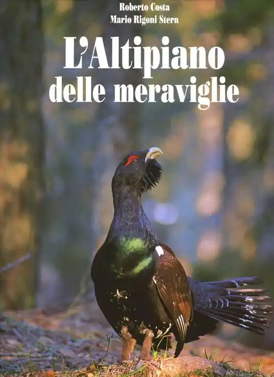 L‘altipiano delle meraviglie. Ediz. illustrata Compra Online
