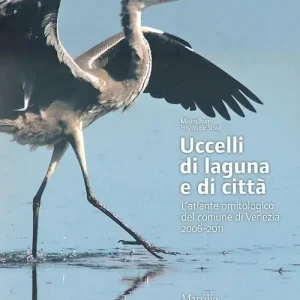Prezzo Conveniente Uccelli di laguna e di città. L‘atlante ornitologico nel comune di Venezia 2006-2011. Ediz. illustrata