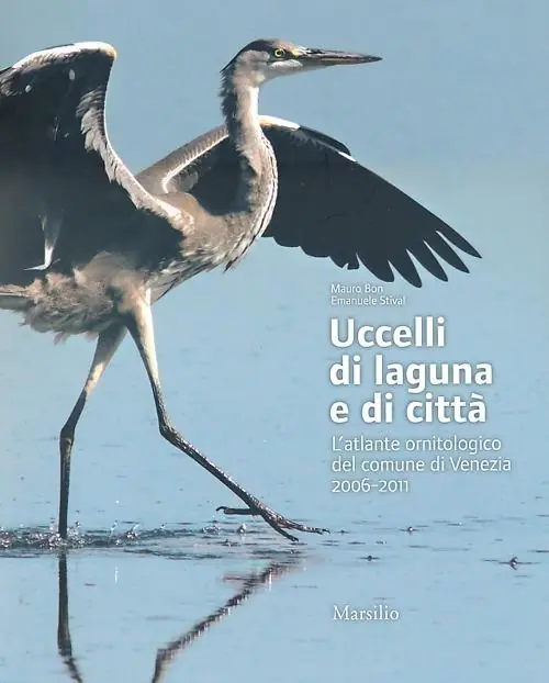 Prezzo Conveniente Uccelli di laguna e di città. L‘atlante ornitologico nel comune di Venezia 2006-2011. Ediz. illustrata