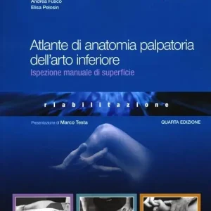 Atlante di anatomia palpatoria dell‘arto inferiore. Ispezione manuale di superficie Economico