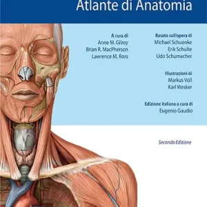 Prometheus. Altante di anatomia Direttamente Dal Produttore