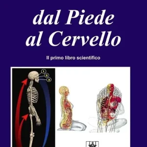 Vendita Finale Dal piede al cervello