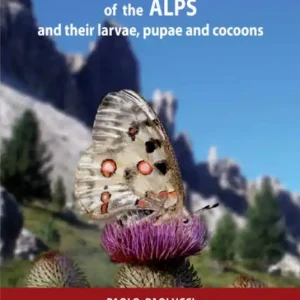 Non Perdere Butterflies and burnets of the Alps and their larvae, pupae and cocoons