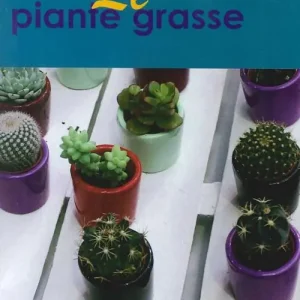Saldi Le piante grasse