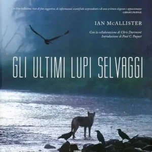 Gli ultimi lupi selvaggi. Ediz. illustrata Must-Have