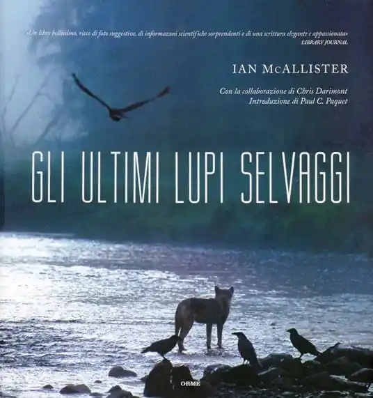 Gli ultimi lupi selvaggi. Ediz. illustrata Must-Have