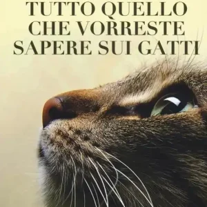 Occasione Imperdibile Tutto quello che vorreste sapere sui gatti