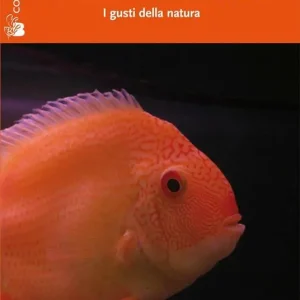 Affare Ecologia della bellezza. I gusti della natura