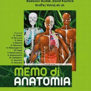 Economico Memo di anatomia