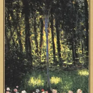 Chiari del bosco Offerta Speciale