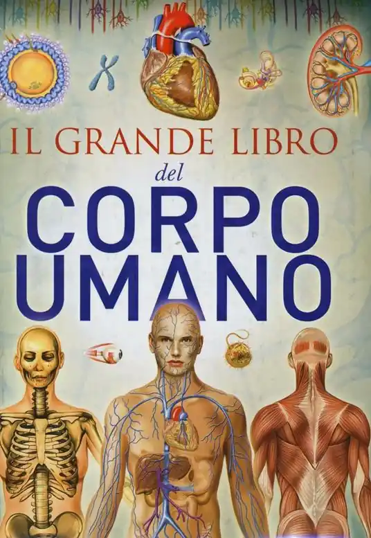 Nuovo Arrivo Il grande libro del corpo umano. Ediz. illustrata