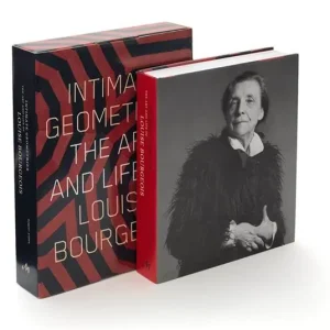 Intimate geometries. The art and life of Louise Bourgeois. Ediz. illustrata Non Perdere