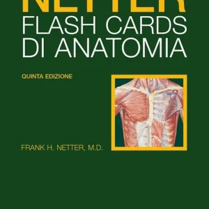 Netter Flash cards di anatomia Miglior Prezzo