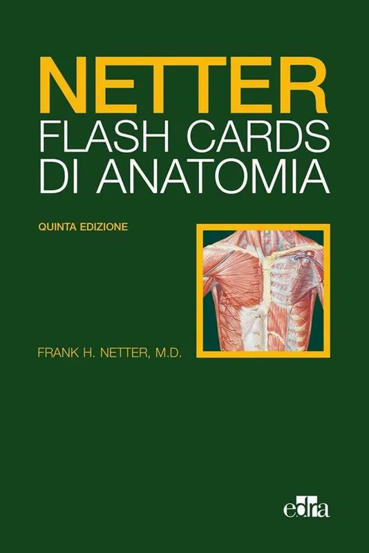 Netter Flash cards di anatomia Miglior Prezzo