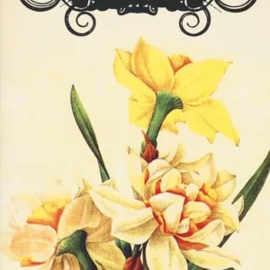 Memorie di un vecchio giardiniere Non Perdere