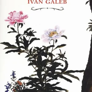 Le primavere di Ivan Galeb Nuova Collezione