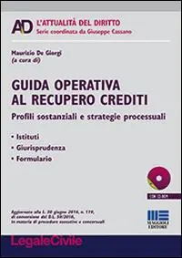 Nuovo Arrivo Guida operativa al recupero crediti