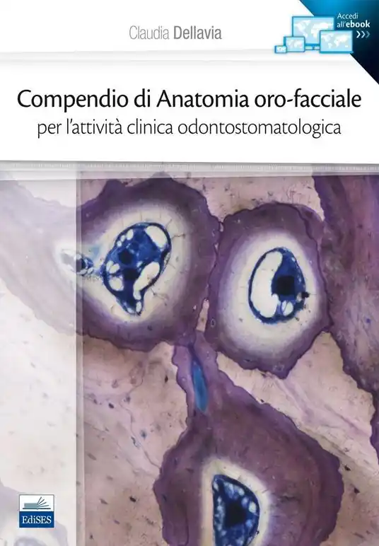 Scelto Dai Clienti Compendio di anatomia oro-facciale per l‘attività clinica odontostomatologica