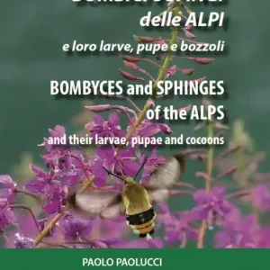Bombici e sfingi delle Alpi e le loro larve, pupe e bozzoli. Ediz. italiana e inglese Scelto Dai Clienti