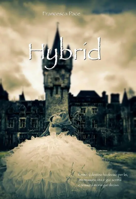 Hybrid Affare