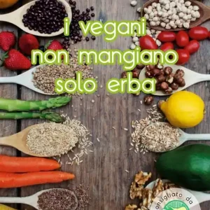 Reso Gratuito I vegani non mangiano solo erba. Oltre 80 entusiasmanti ricette di cucina vegana... Tutte rigorosamente testate