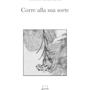 Affare Corre alla sua sorte. Ediz. critica. Con gadget