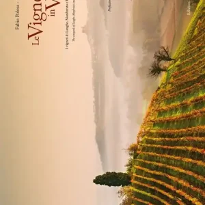 Novità Le vigne in volo. I vigneti di Langhe, Monferrato e Roero visti dal cielo. Ediz. italiana e inglese