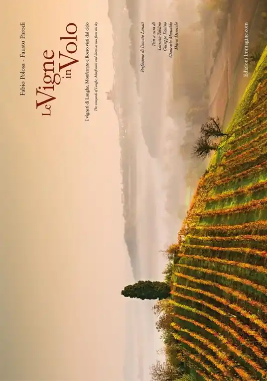 Novità Le vigne in volo. I vigneti di Langhe, Monferrato e Roero visti dal cielo. Ediz. italiana e inglese