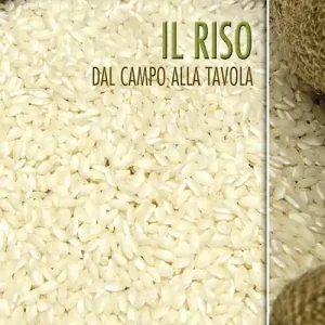 Ordina Subito Il riso. Dal campo alla tavola