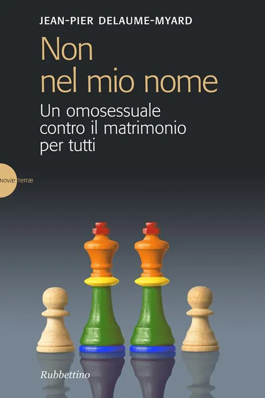 Non nel mio nome. Un omosessuale contro il matrimonio per tutti Più Venduto